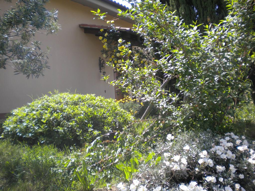 Le Tre Querce Bed & Breakfast ฟิอาโน โรมาโน ภายนอก รูปภาพ