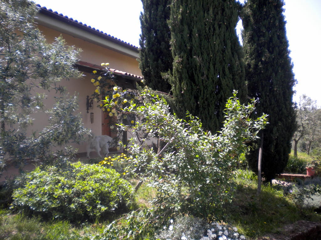 Le Tre Querce Bed & Breakfast ฟิอาโน โรมาโน ภายนอก รูปภาพ